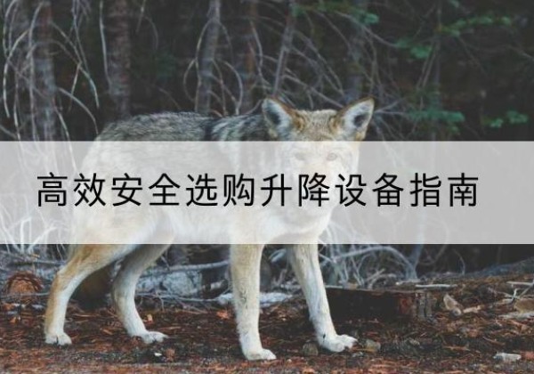 原州升降货梯厂家推荐-*安全选购升降设备指南