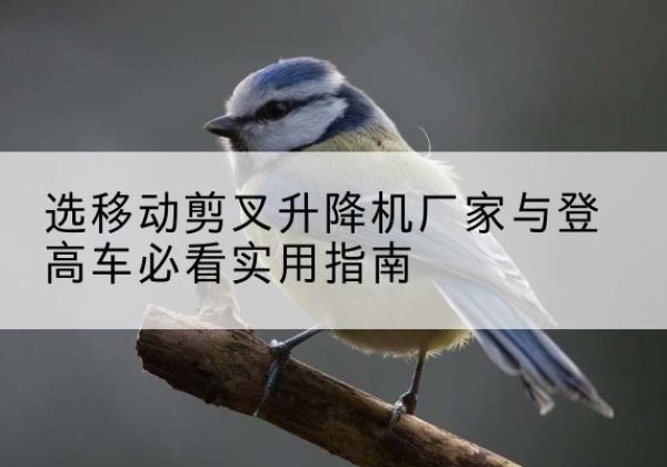 原州电动升降机厂家-选移动剪叉升降机厂家与登高车必看实用指南